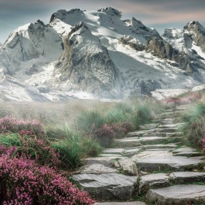 开云官方网站APP下载-T1三连冠创造历史LPL四强止步S15遗憾收官